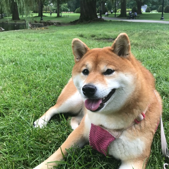 From Me To You - Picture 2 of 2